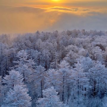 伊春3日2晚拼小团