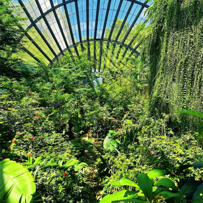 马来西亚吉隆坡+槟城6日5晚私家团