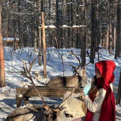 呼伦贝尔+凤凰山滑雪场+莫尔格勒河景区+额尔古纳+黑山头镇+满洲里5日4晚拼小团