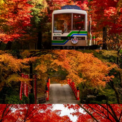 日本5日4晚私家团