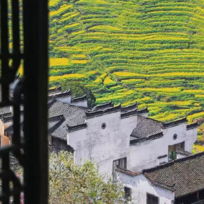 江西景德镇+婺女洲度假区+婺源篁岭+望仙谷5日4晚私家团