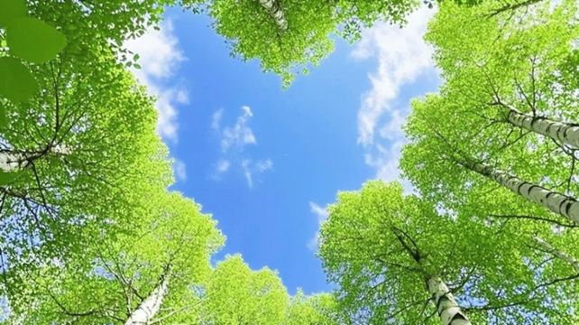 呼倫貝爾、海拉爾市+13