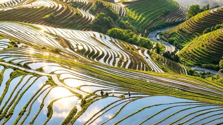 2D1N · Group Tours · Guilin Li River & Longji Terraces & Ping'an Zhuang Village