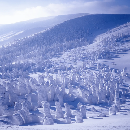 日本山形市+藏王町2日1晚私家团