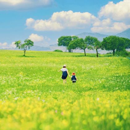 秦皇岛北戴河+乌兰布统旅游区+赤峰玉龙沙湖+坝上+木兰围场5日4晚跟团游