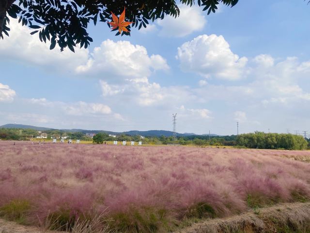 郭兴庄园旅行图片 6
