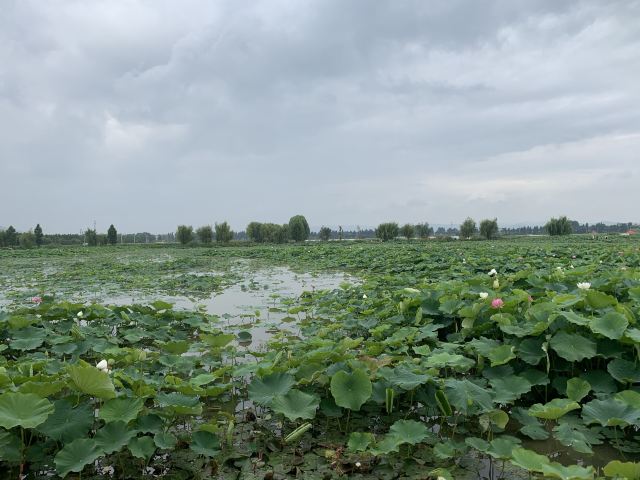 麒麟水乡旅行图片 3