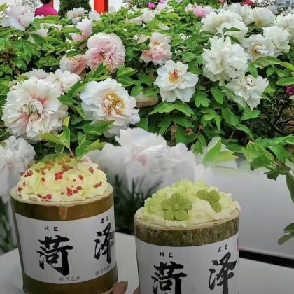 菏泽曹州牡丹园+老城曹州+曹县八里湾风景区+水浒故里好汉郓城4日3晚私家团