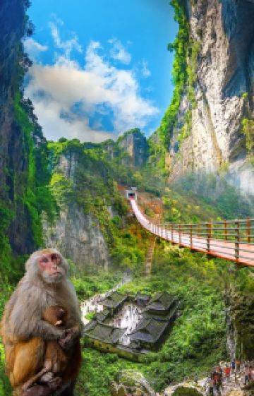 武隆区2日1晚拼小团图片