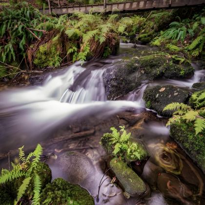 日本仙台+盛冈+仙北市5日4晚私家团