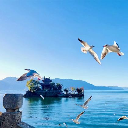 大理市+丽江+玉龙雪山+香格里拉5日4晚跟团游