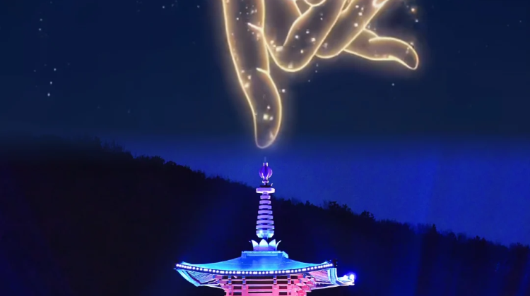 上海+6
