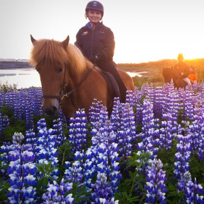 冰岛+蓝湖+瓦特纳冰川国家公园+阿克雷里+斯奈山半岛+米湖+黄金旅游圈+丝浮拉大裂缝11日8晚私家团