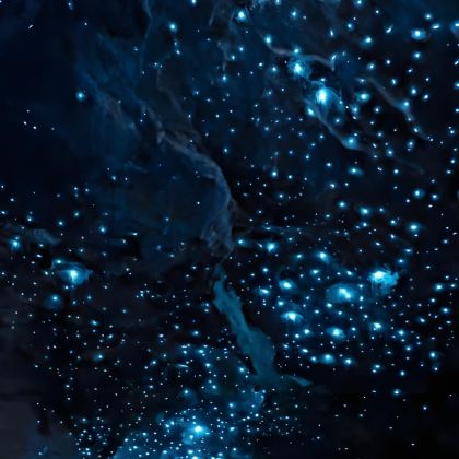 新西兰+特卡波湖+奥拉基/库克山国家公园+瓦纳卡之树+皇后镇天空缆车+米尔福德峡湾+鲍德温大街+奥玛鲁蓝企鹅保护中心11日10晚私家团