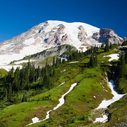 美国西雅图5日4晚拼小团