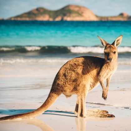 澳大利亚悉尼+凯恩斯7日5晚私家团