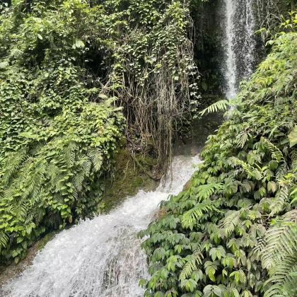 广西崇左+德天跨国瀑布景区+明仕田园+古龙山大峡谷+鹅泉+峒那屿湾景区5日4晚私家团