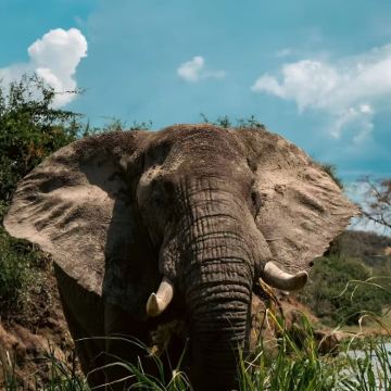 乌干达7日6晚私家团