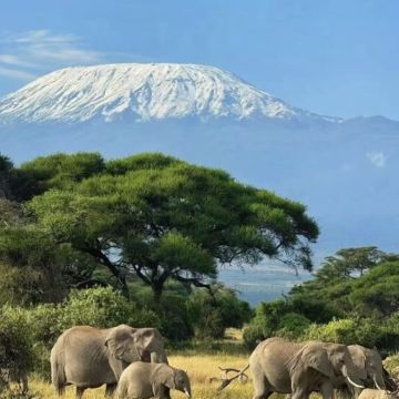 肯尼亚+坦桑尼亚12日11晚私家团