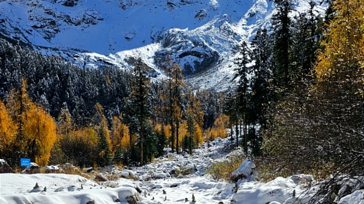 8-day 7-night · Private Tour · Chengdu + Jiuzhaigou + Bipenggou + Dujiangyan