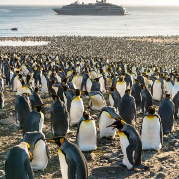 南极洲+福克兰群岛+南乔治亚岛+阿根廷+巴西+乌拉圭32日28晚跟团游