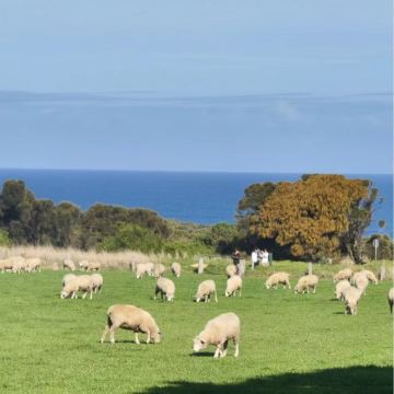 澳大利亚墨尔本+凯恩斯+悉尼10日8晚私家团