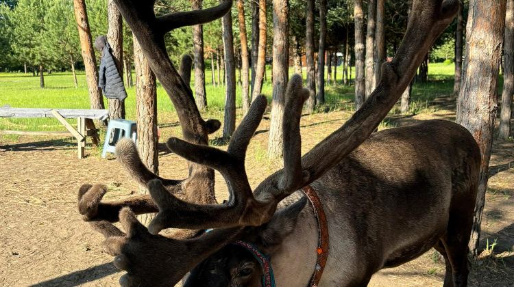 5D4N · Group Tours · Heilongjiang + Mohe + Arctic Village + Beihong Village + The First Bay of Longjiang