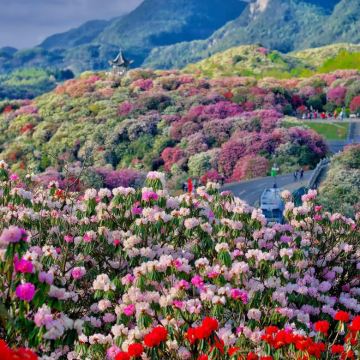 青岩古镇+万峰湖+马岭河峡谷景区+赤水丹霞旅游区·大瀑布+赤水丹霞旅游区·佛光岩8日7晚拼小团