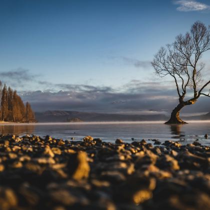 新西兰皇后镇+特卡波湖+基督城6日5晚拼小团