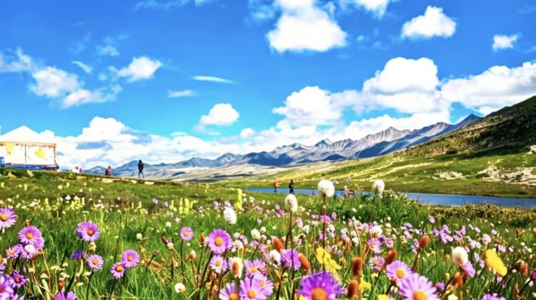 2D1N · Group Tours · Yuzixi + Gediram Sky Grassland + Jiagenba + Honghaizi 