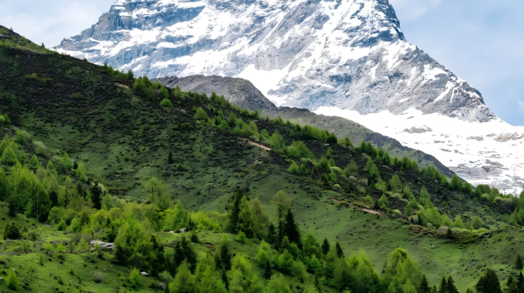 3D2N · Private Tours · Immersive top 3 Western Sichuan highlights - Mt. Siguniang, Bipenggou, Dagu Glacier - one-stop for snow peaks, glaciers, alpine lakes, grasslands & rhododendrons.