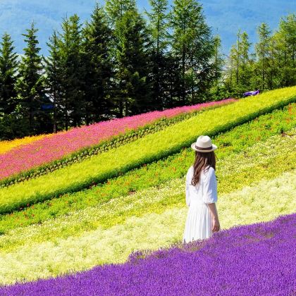 日本北海道登别+函馆+洞爷湖町+小樽+札幌7日6晚私家团