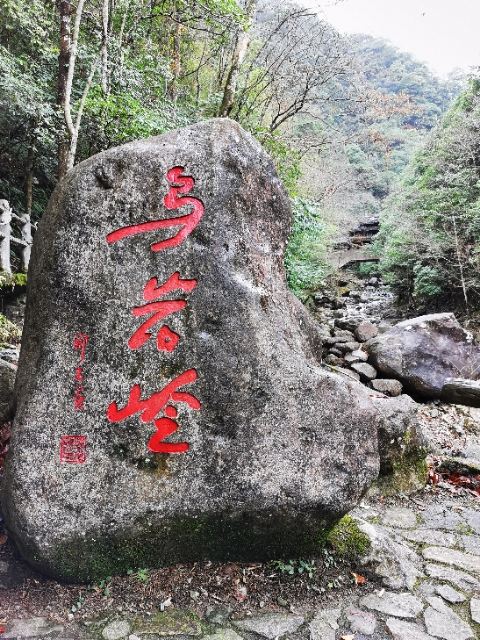 浙江乌岩岭国家级自然保护区旅行图片 2