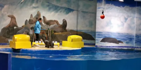 張家港夢幻海洋王國