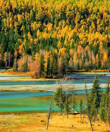 10D9N • Northern Xinjiang + Urumqi + Xinjiang Kanas National Geopark + Nalati Scenic Area
