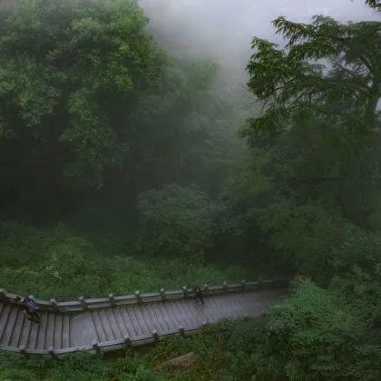 九华山+杏花村风景区+桐城古城区3日2晚私家团