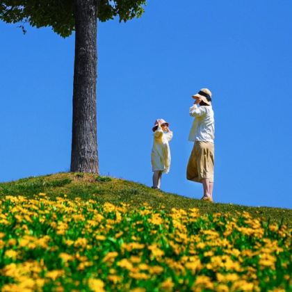 云南昆明+建水+弥勒+元阳+蒙自+抚仙湖8日7晚私家团