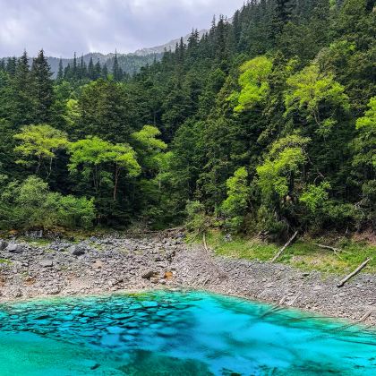 成都+九寨沟+黄龙风景名胜区5日4晚跟团游