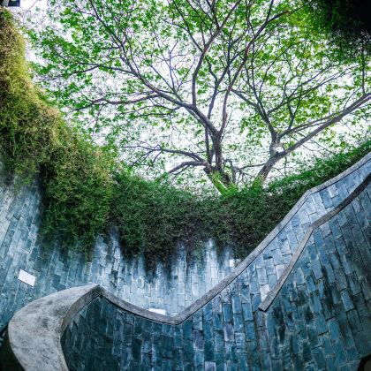 新加坡6日5晚私家团