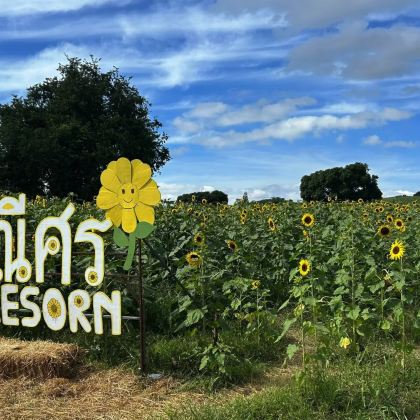 泰国曼谷+考艾国家公园6日5晚私家团