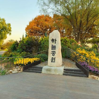 韩国9日8晚私家团