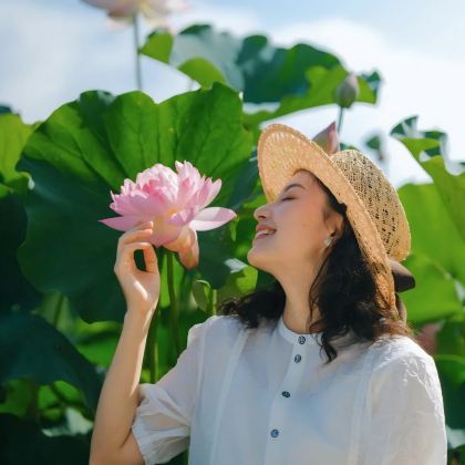 云南昆明+抚仙湖+建水+元阳+弥勒+普者黑景区8日7晚拼小团