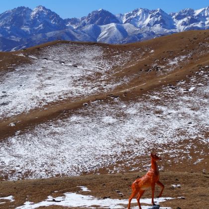 武威+祁连山冰沟河景区2日1晚拼小团