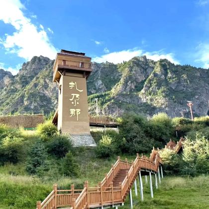 甘南8日7晚亲子研学游|藏地文化启蒙+自然生态探索+非遗手工体验