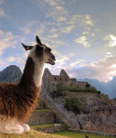 2D1N • 2-Day Sacred Valley of the Incas and Machu Picchu Tour