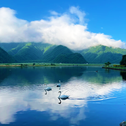 湖北+神农架风景区+三峡坝区+清江画廊5日4晚跟团游