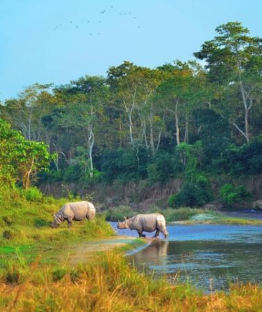 3D2N • Kathmandu: 3 Days Chitwan Jungle Safari Private Tour