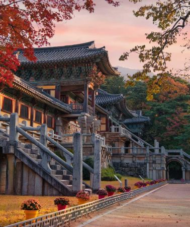 6日5晚 • 慶州＋釜山6天秋色之旅「UNESCO世界文化遺產」佛國寺、慶州歷史遺址區、月精橋、大陵苑、東宮與月池、金井山梵魚寺、金剛公園