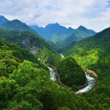 武夷山国家公园+九曲溪漂流3日2晚私家团