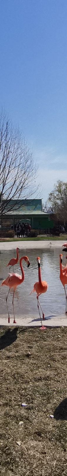 秦皇岛野生动物园-秦皇岛